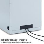 NAS・HDD・ネットワーク機器収納ボックス(簡易防塵・W450×D420×H500mm) サンワサプライ